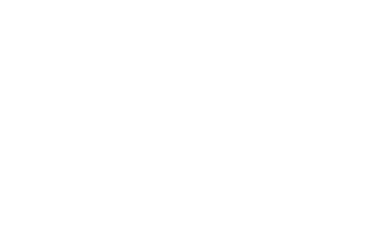 1200x800_6col_4row_20px_grid_transparent copy